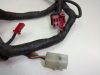Wire Harness Honda CBR 1000 F