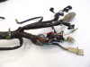 Wire Harness Honda VT 1100