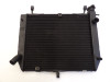 Radiator Yamaha YZF R1
