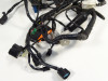 Wire Harness Kawasaki VERSYS 650
