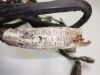 Wire Harness Suzuki GR 650