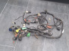 Cableado de motor Suzuki GSF 1200 Bandit