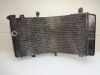 Radiator Suzuki GSX R 750