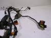 Wire Harness BMW R 850 R
