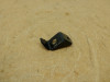 Steering damper Moto Guzzi California 3