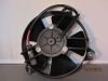 Fan Voxan Roadster