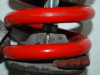 Stossdampfer hinten Triumph 595 T Daytona