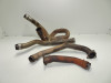 Downpipes Aprilia Falco