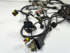 Wire Harness Ducati Monster 695