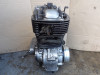 Engine Suzuki LS 650