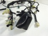 Wire Harness Yamaha FZ6