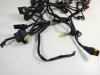 Wire Harness MV Agusta 989 Brutale R