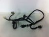 Wire harness front Honda Silverwing