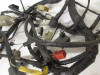 Wire Harness Honda CBR 600 F