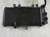 Radiator BMW F 800 S - ST