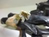 Handlebar switch assy left Kawasaki GPZ 900