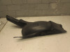 Rear fender BMW F 650 GS