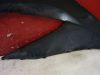 Seiten verkleidung links Suzuki GSX R 750