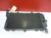 Radiateur Kawasaki ZZR 600