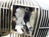 Motorblok BMW R 1100  850 R