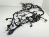 Wire Harness Ducati Monster 695
