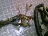 Wire Harness Kawasaki ZZR 1100