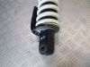Stossdampfer hinten BMW R Nine T