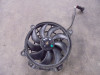 Fan Aprilia Tuono 660