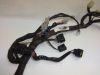 Wire Harness Yamaha YZF 600 Thundercat