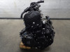 Motorblok Triumph Tiger 900 Rally Pro