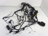 Kabelboom BMW F 800 S - ST