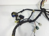 Wire Harness Yamaha FZ6