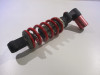 Stossdampfer hinten Triumph Speed Triple 1050