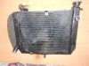 Radiator Yamaha YZF R1