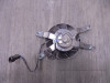 Fan Triumph Trident 660