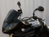 Windscherm Triumph Tiger 1050