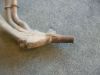Downpipes Yamaha YZF 750