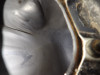 Tank Honda ST 1100 Pan European