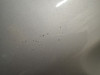 Tank BMW R 1150 GS