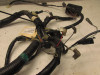 Wire Harness Kawasaki ER 5