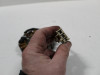 Stator electric Honda CBR 600 RR