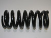 Stossdampfer hinten BMW F 800