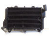 Radiator Kawasaki GPZ 900