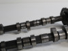 Nokkenas Triumph Sprint ST 955
