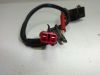 Pickup coil Honda CBR Fireblade