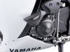 Crash Pads Yamaha YZF R1