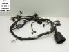 Wire Harness Honda TRANSALP