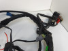 Kabelboom Honda CBF 600