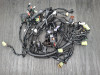 Wire Harness KTM 690 Duke 