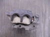 Bremssattel Bremszange hinten BMW R 1200 GS LC Adventure